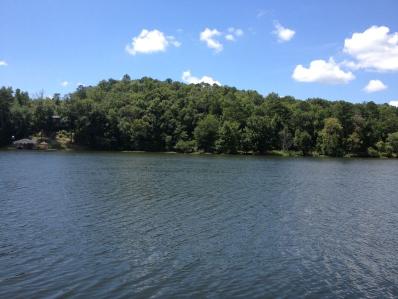 Property For Sale On Lay Lake Alabama : Alabama Waterfront Property in Lake Mitchell, Lay Lake ... / Our 2021 property listings offer a large selection of 19 vacation rentals around lay lake.