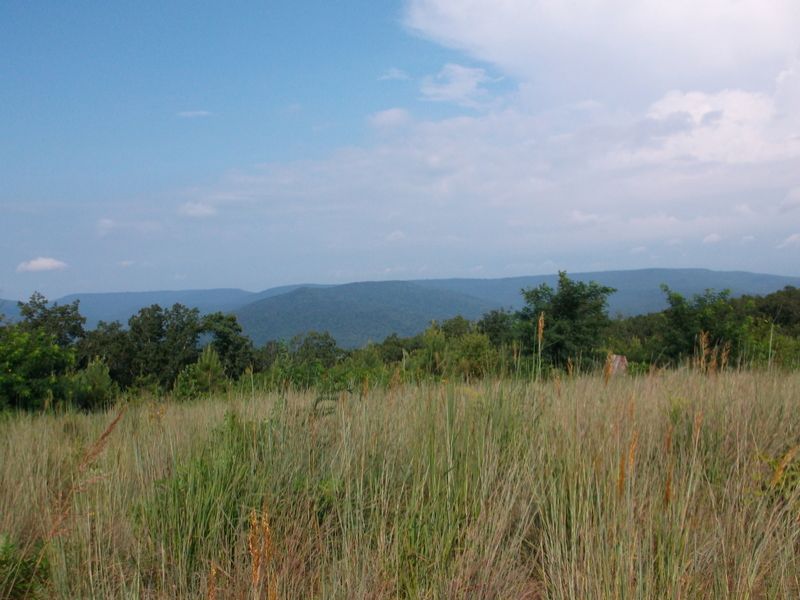 55 Acres On The Cumberland Plateau : Mcminnville : Warren County : Tennessee