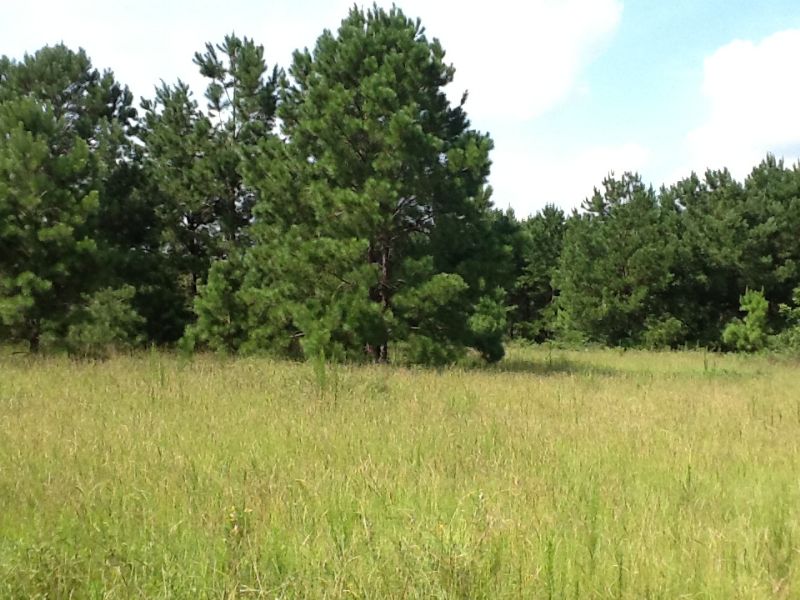 Galloway Tract : Brundidge : Pike County : Alabama