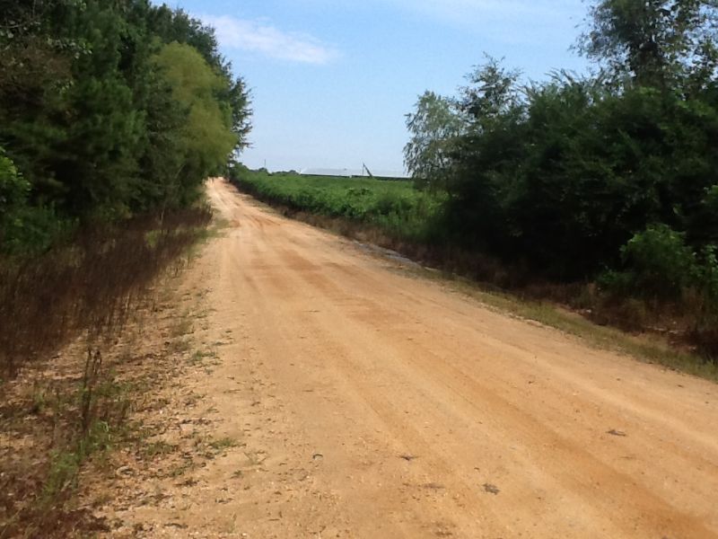 Williamson Road Chicken Farm : Luverne : Crenshaw County : Alabama