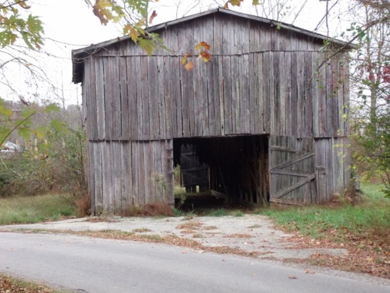 Secluded Acres in Ky : Edmonton : Metcalfe County : Kentucky