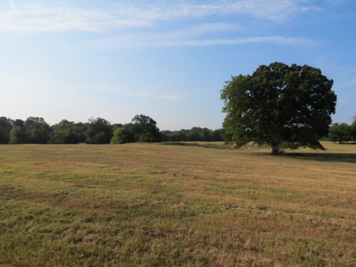 Day Ranch : Mount Pleasant : Titus County : Texas