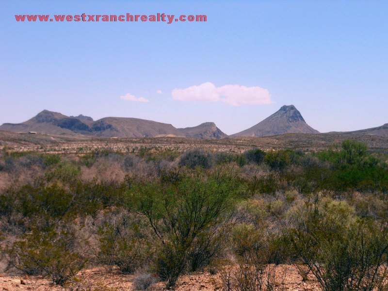 Tract 8367 20 Acres in West Tx : Terlingua : Brewster County : Texas
