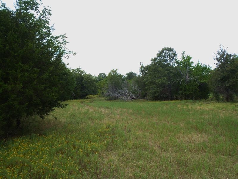 10 Mile Creek 120 : Antlers : Pushmataha County : Oklahoma