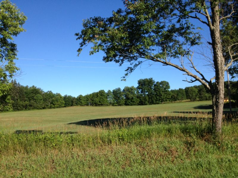 Clover Meadows & Apple Groves : Camden : Oneida County : New York