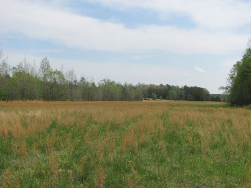 77.72 Acres Hunting and Farming : Bethel Springs Tn : McNairy County : Tennessee