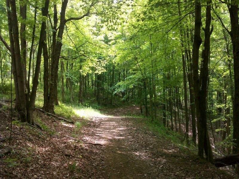 215 Acres On Harmony : Athens : Athens County : Ohio