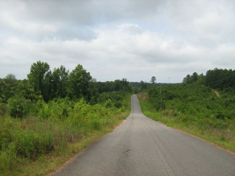 Commercial Or Residential Property : Cottondale : Tuscaloosa County : Alabama