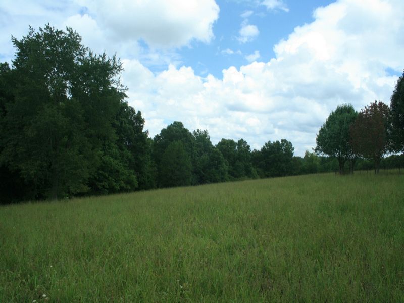 37 Acres Near Natchez Trace Pwy : Primm Springs : Hickman County : Tennessee