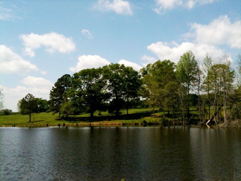 Rural Recreational Estate : Mansfield : Newton County : Georgia
