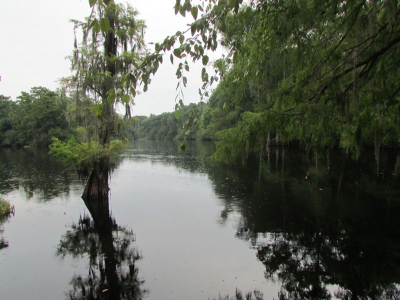 Cartwheel Landing Tract : Conway : Marion County : South Carolina