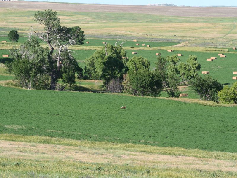 Ranch and Farm : Whitney : Dawes County : Nebraska