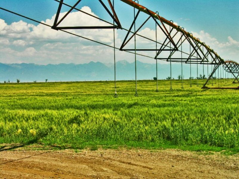 229064- Investment Opportunity : Saguache : Saguache County : Colorado
