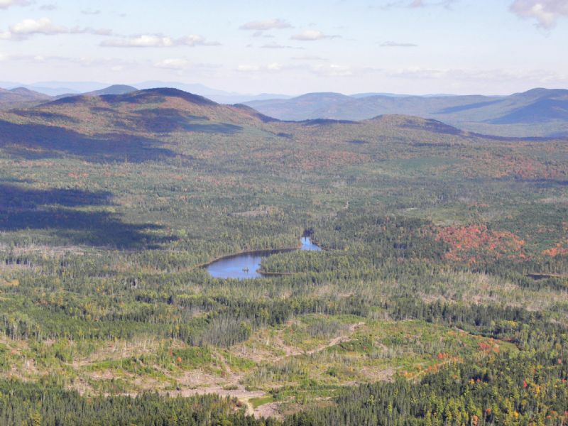 Horseshoe Pond Forest : Rockwood : Somerset County : Maine