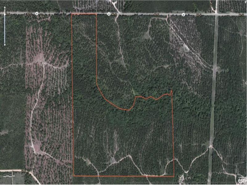 96 Acres : Hattiesburg : Lamar County : Mississippi