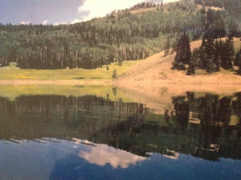 Pristine Mountain and Lake Property : Beaver : Beaver County : Utah