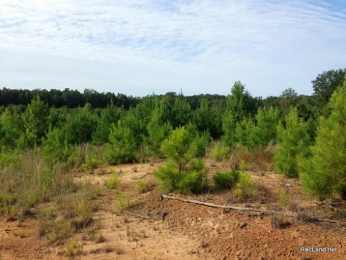 La - Hwy 4 - Jackson - Timberland F : Jonesboro : Jackson Parish : Louisiana