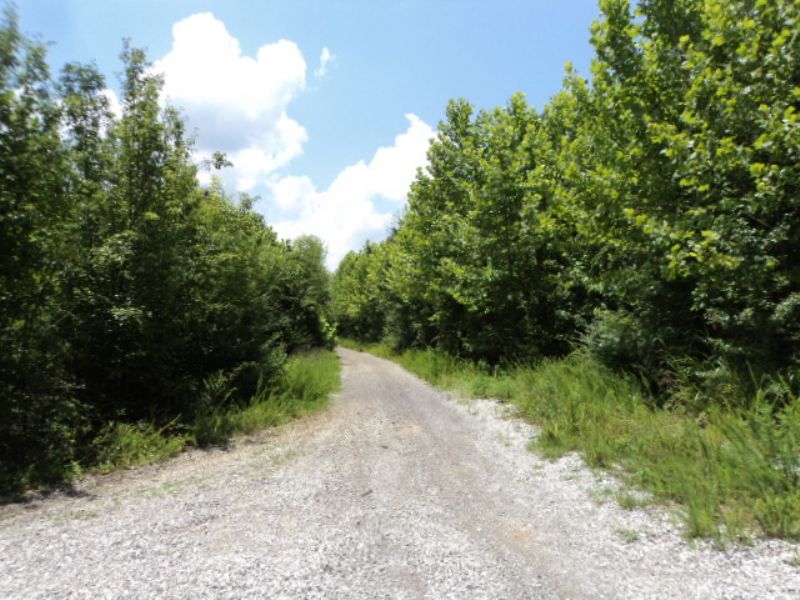 16.4 +/- Acres Near Oxford : Oxford : Calhoun County : Alabama