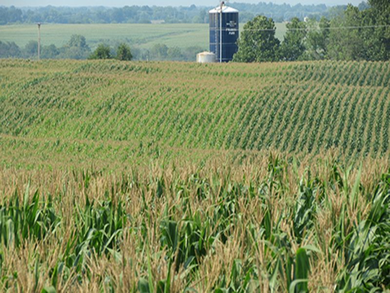 712 +/- Acres Offered in 12 Tracts : Bolivar : Polk County : Missouri