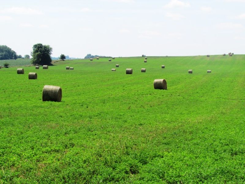 43 Acres Farmland Auction in Sd : Colton : Minnehaha County : South Dakota