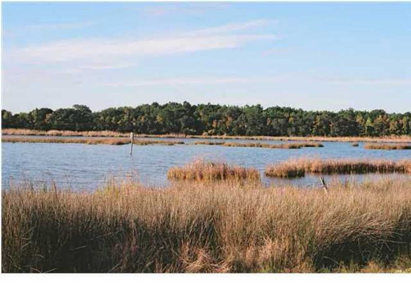 81 Lake Timicau Lane : Dewees Island : Charleston County : South Carolina