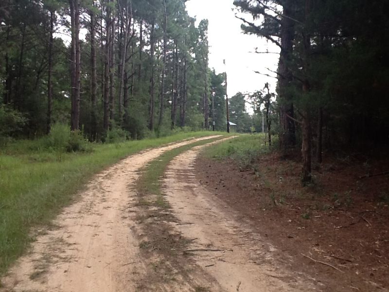 Baker Cabin and Land : Honoraville : Crenshaw County : Alabama