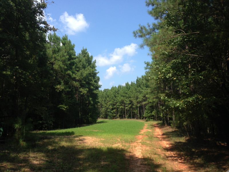 Carlton South : Carlton : Oglethorpe County : Georgia