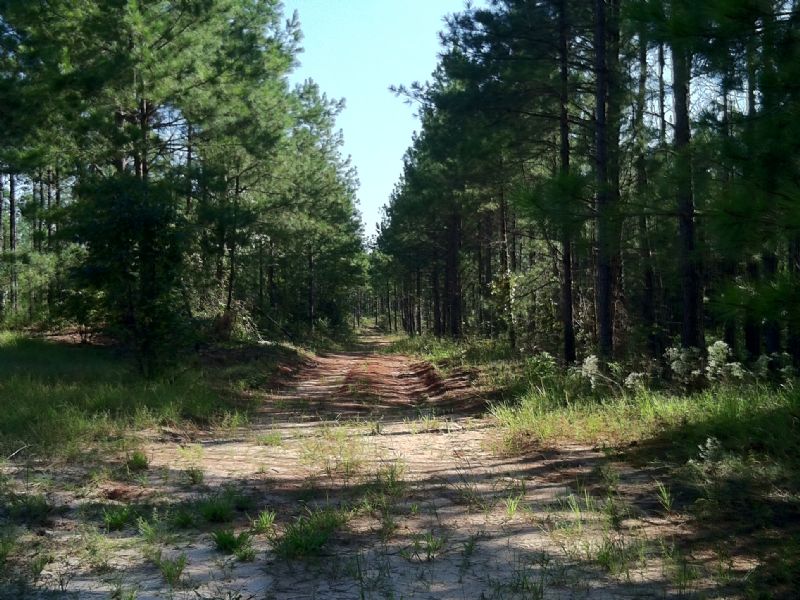 Gordon Tract : Gordon : Wilkinson County : Georgia