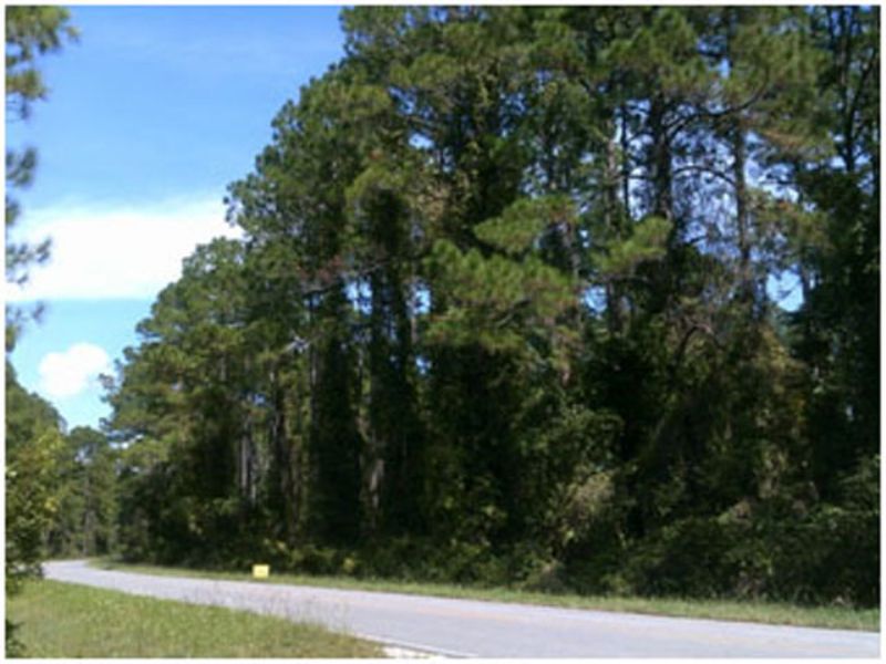 $99 Down, $100/month Financing : Georgetown : Putnam County : Florida
