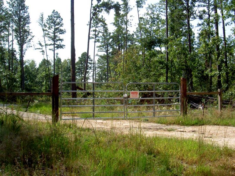 20 Acres 6 Beautiful Views : Summersville : Shannon County : Missouri