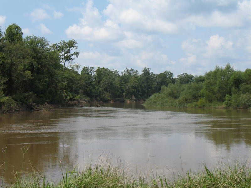 Cheapest Land Ever : Tarversville : Twiggs County : Georgia