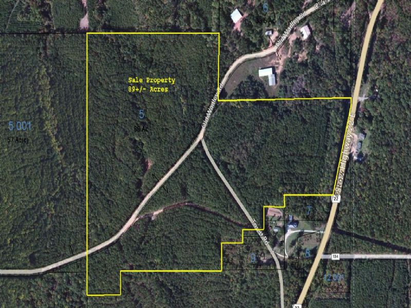 89+/- Acres Investment Timberland : Daviston : Tallapoosa County : Alabama