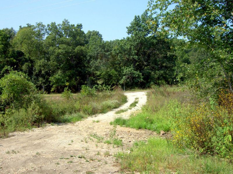 7 Acres with Creek Frontage : Willow Springs : Howell County : Missouri
