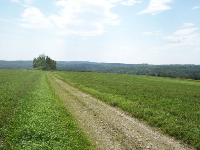 Northern Maine Moutaintop Retreat : Van Buren : Aroostook County : Maine