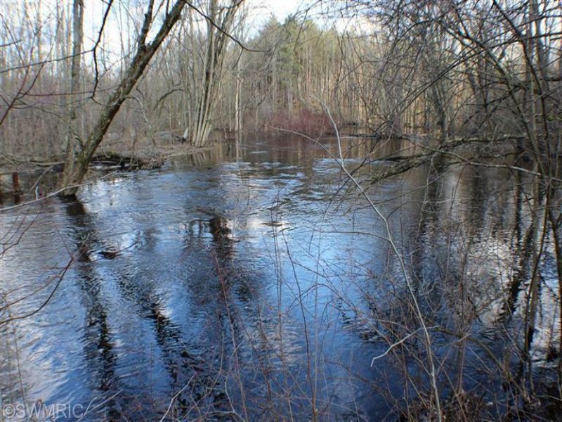 Over 9 Acres On The White River : Hesperia : Newaygo County : Michigan