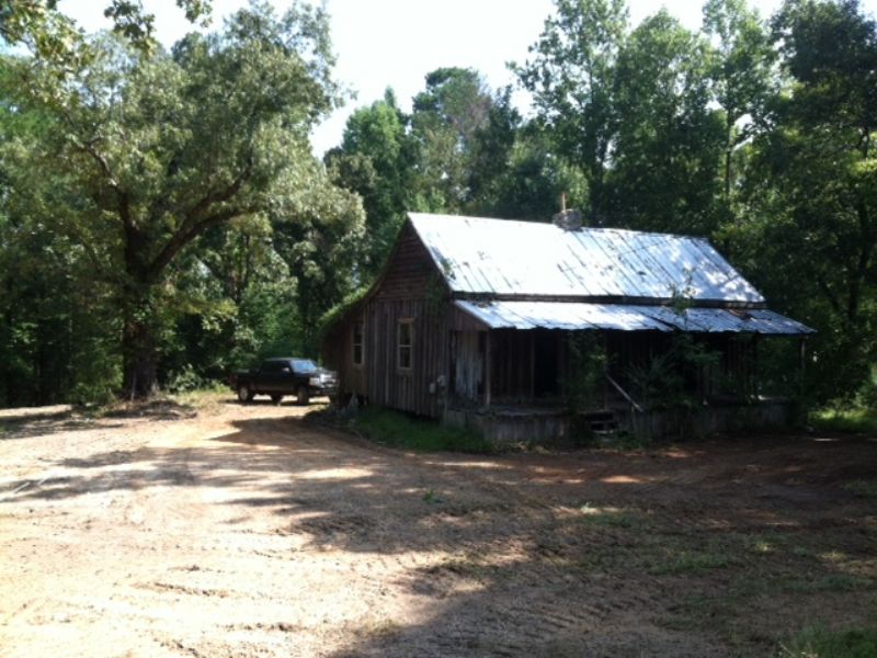 51+/- Acres Heard Hill Rd. : Jacksons' Gap : Tallapoosa County : Alabama