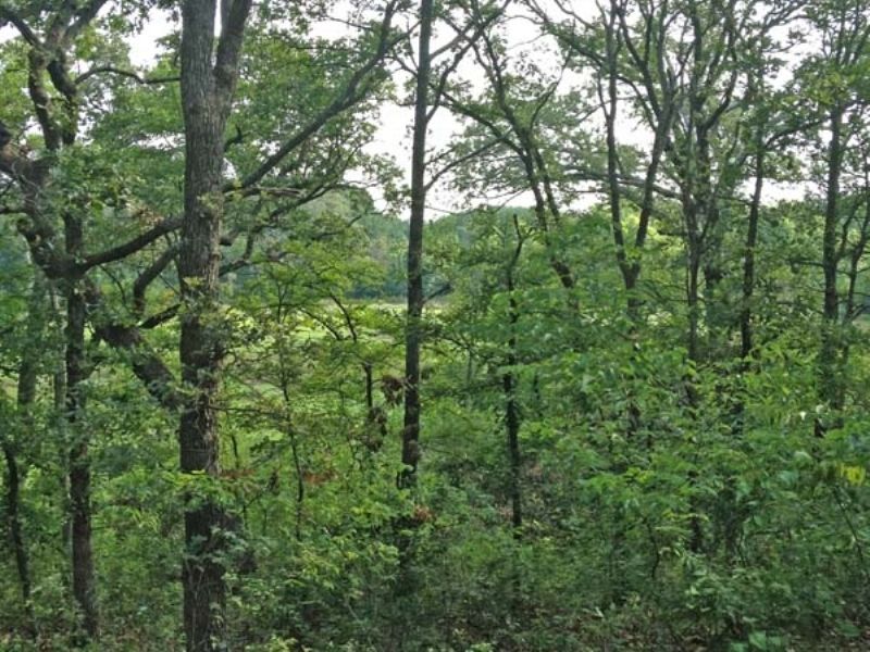 Deep Fork Tract 5 East 40 : Mason : Okfuskee County : Oklahoma