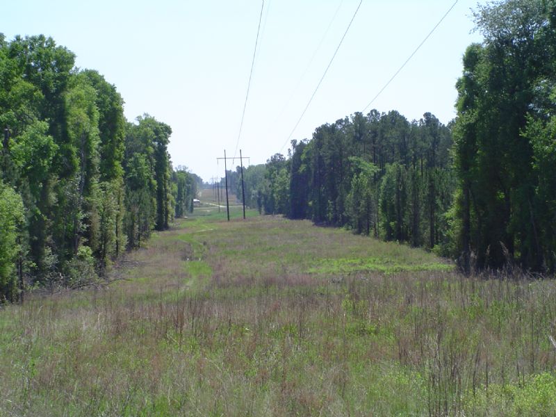 Hambrick 4 Tract : Eastman : Dodge County : Georgia