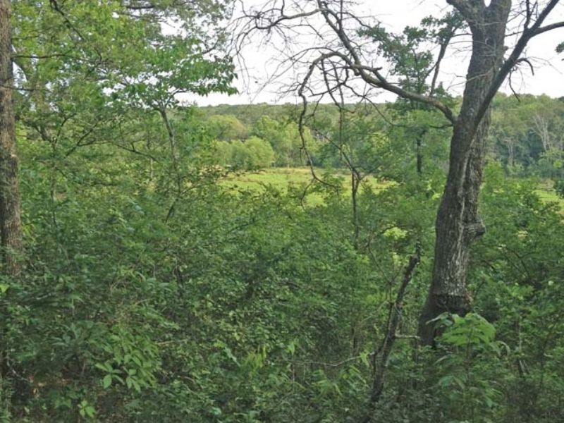 Deep Fork Tr 5 West 40 : Mason : Okfuskee County : Oklahoma