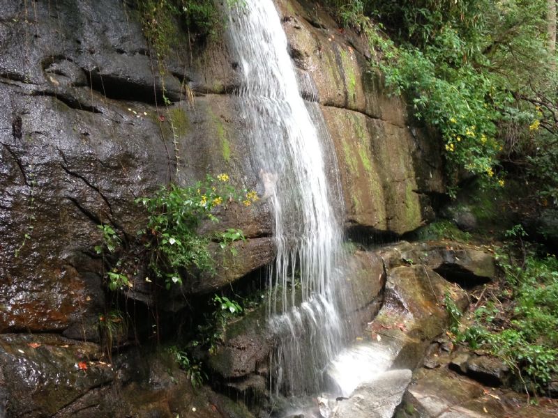 The Waterfall Tract - 95.80 Ac. - : Landrum : Greenville County : South Carolina