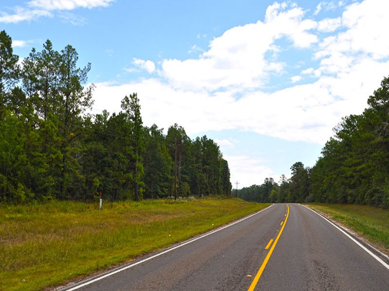 703 Ac- Hwy 94 : Groveton : Trinity County : Texas
