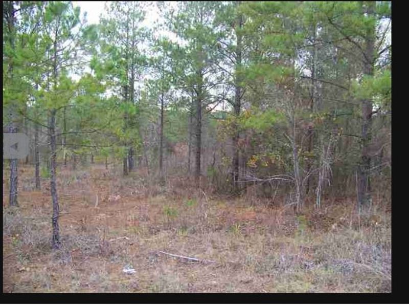 Great Recreational Tract : Jeffersonville : Twiggs County : Georgia