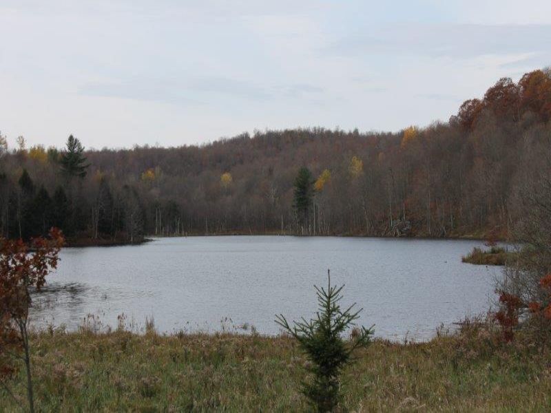 Waterfront 6 Acres Owl Pond : Hermon : Saint Lawrence County : New York