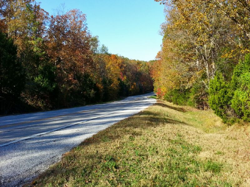 10.75+/- Acres in City Limits : Mountain View : Stone County : Arkansas