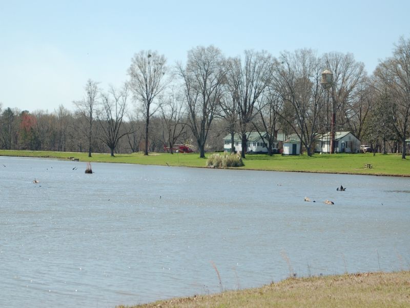 Plantation : Union Springs : Bullock County : Alabama