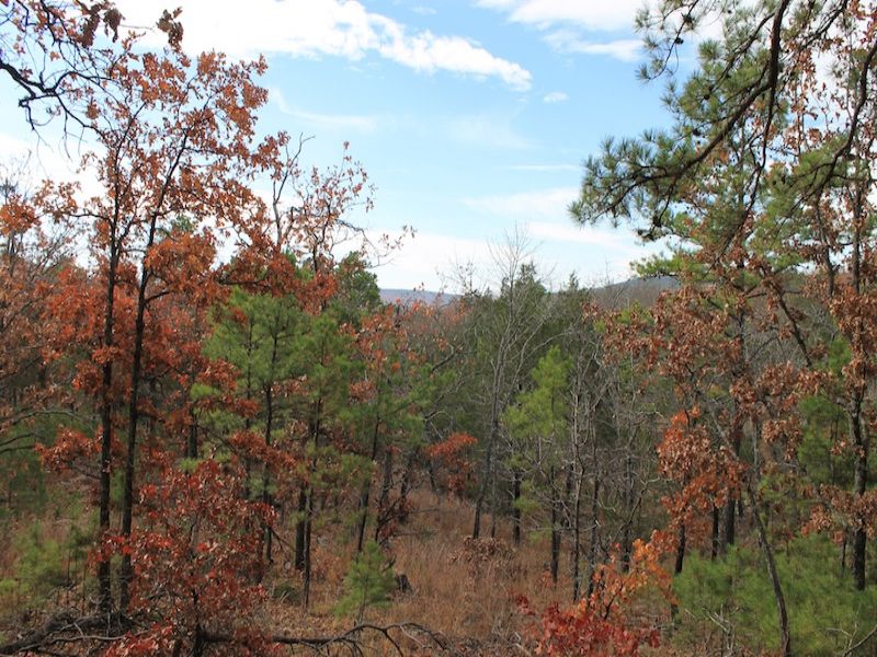 Indian Ridge Oklahoma Land Terms : Daisy : Pittsburg County : Oklahoma