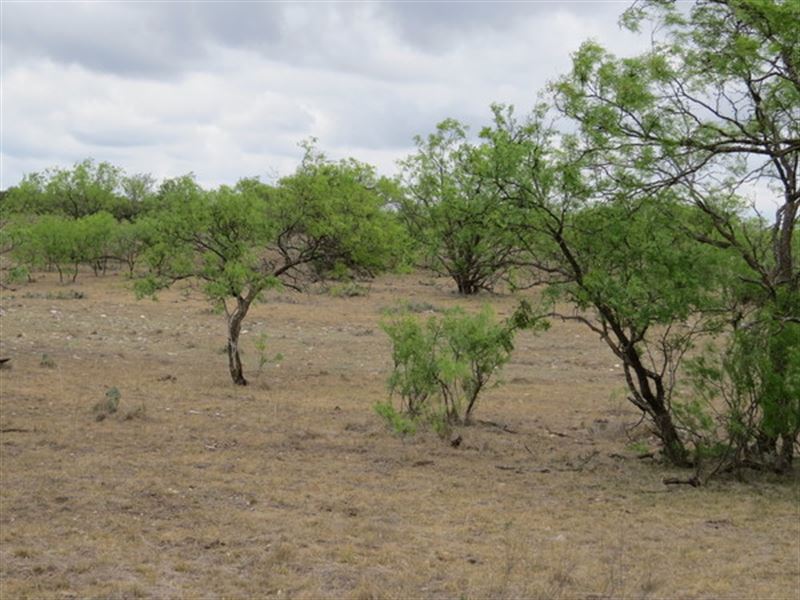 Hunting / River Ranch for Sale : Menard : Menard County : Texas