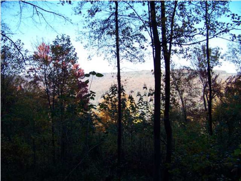 60+/- Acres in South Pittsburg, Tn : South Pittsburg : Marion County : Tennessee