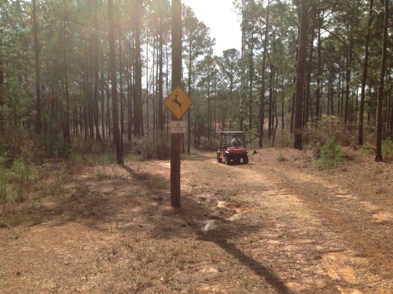 Floyd Tract : Luverne : Crenshaw County : Alabama