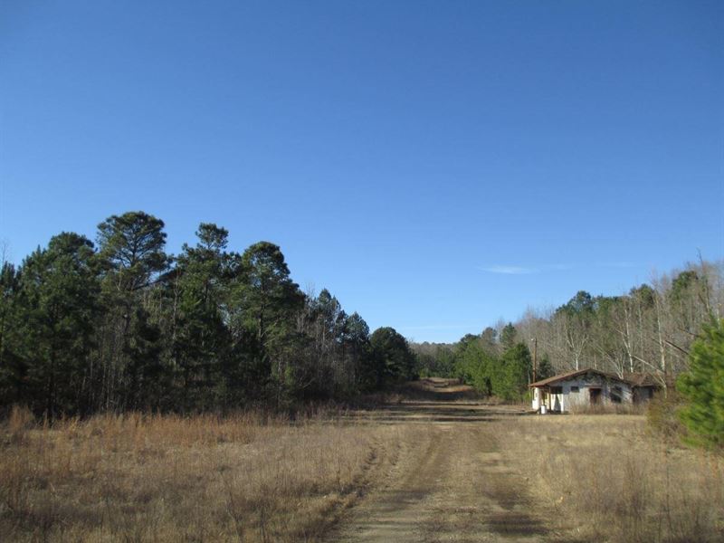 102 Acres on River Rd : Warm Springs : Meriwether County : Georgia